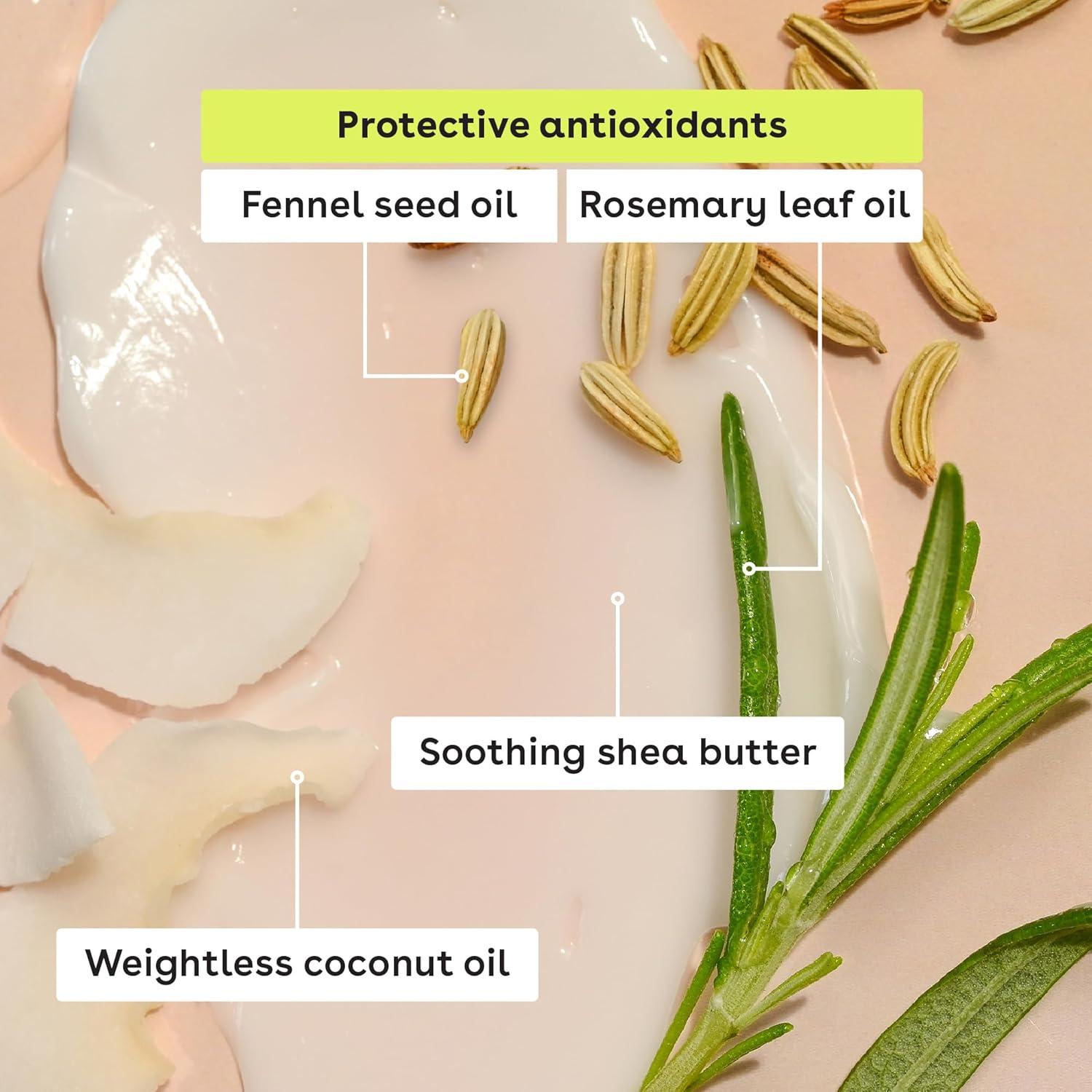 imageeos 100 Natural ampamp Organic Lip Balm Sphere Vanilla Bean Allday Moisture Dermatologist Recommended for Sensitive Skin Lip Care Products 025 ozStrawberry Sorbet